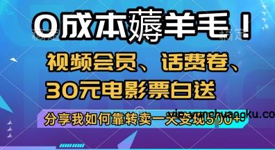 0成本薅羊毛!视频会员、话费卷、30元电影票白送，分享我如何靠转卖一天变现5张+【揭秘】-云创项目库