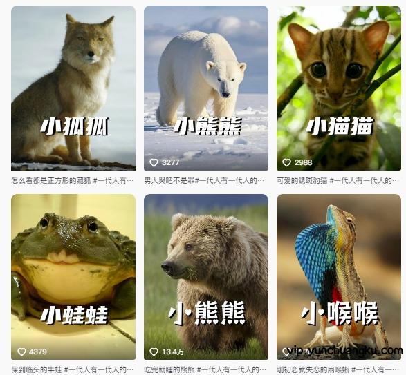 最新搞笑动物百科详细解说课程，蓝海赛道，流量非常大，轻松签独家进精选