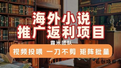 海外小说推广返利项目，视频投喂， 一刀不剪，矩阵批量-云创项目库