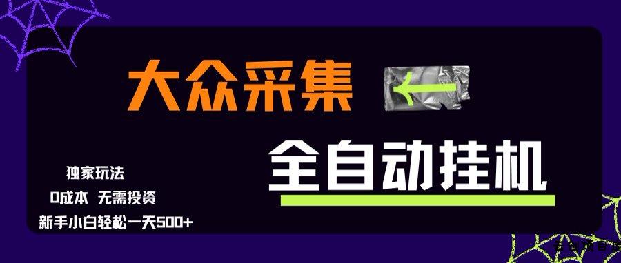 大众采集全自动玩法，新手小白轻松一天500+，操作简单-云创项目库
