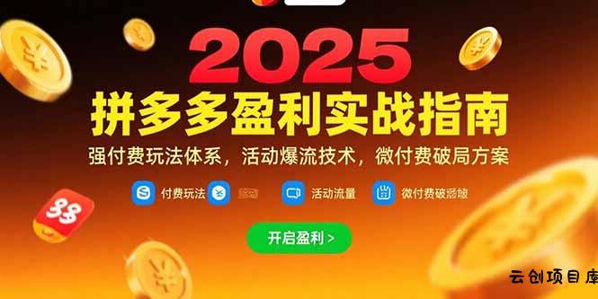拼多多盈利实战指南，强付费玩法，活动爆流技术，微付费破局方案(更新7月-云创项目库