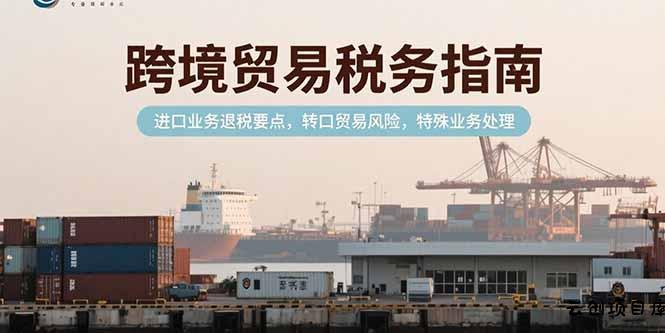 跨境贸易税务指南，进口业务退税要点，转口贸易风险，特殊业务处理-云创项目库