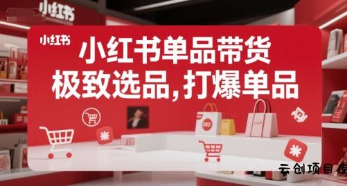 小红书单品带货，极致选品，打爆单品(更新)-云创项目库