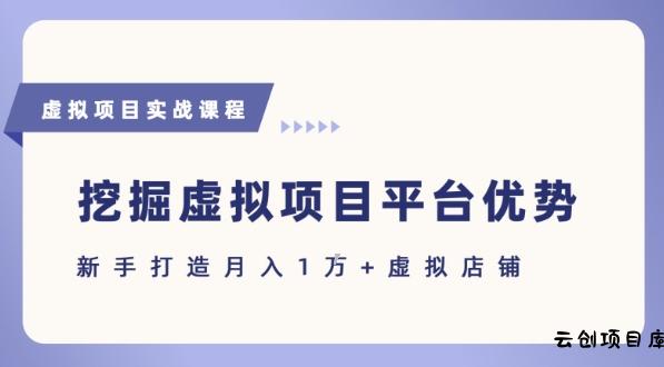 抓住虚拟项目各平台优势，新手轻松月入1W+(给出具体建议)-云创项目库