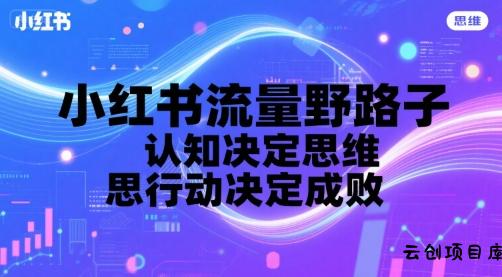 小红书流量野路子，认知决定思维，思维决定行动，行动决定成败-云创项目库