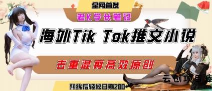 海外tiktok小说推文暴力项目，高停留率，高转化率，上手后一天搞顿饭钱不是问题-云创项目库