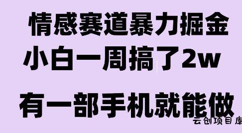 情感暴力掘金项目，新人操作一周挣了2W，长期稳定小白可做【揭秘】-云创项目库