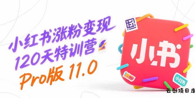 小红书涨粉变现120天特训营Pro版11.0：从0到1掌握平台运营,内容制作和变现-云创项目库