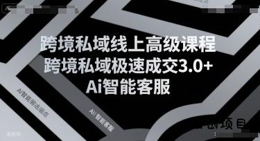跨境私域线上高级课程，跨境私域极速成交3.0+Ai智能客服-云创项目库