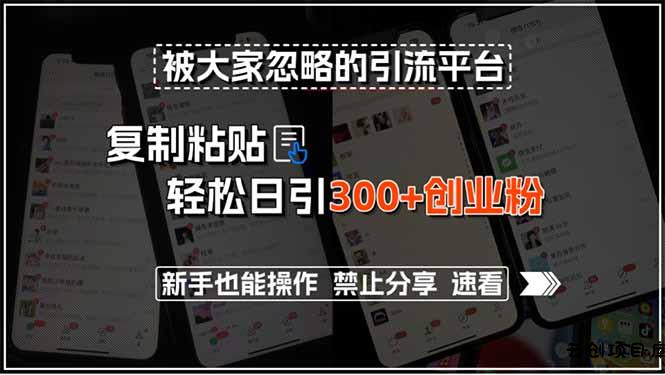 被大家忽略的引流平台，复制粘贴轻松日引300+创业粉，新手也能操作，禁…-云创项目库