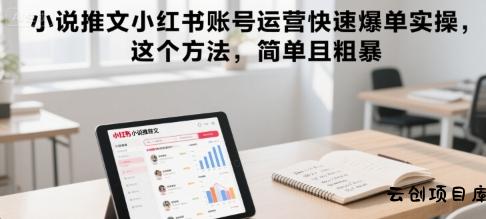 小说推文小红书账号运营快速爆单实操，这个方法，简单且粗暴-云创项目库