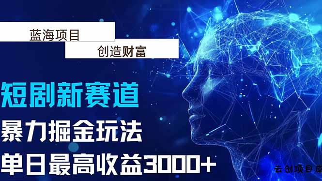 抖音新赛道，暴力掘金玩法，单日收益最高3000+-云创项目库