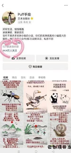 Puff手绘视频号分成项目,三天过分成计划,简单易上手,适合新手