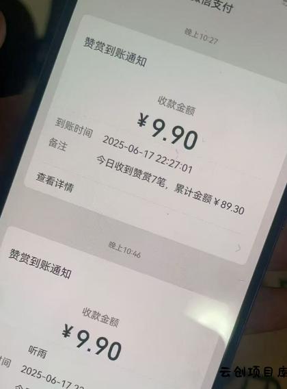 二次元男粉快速变现项目,私域卖虚拟产品,百分利润