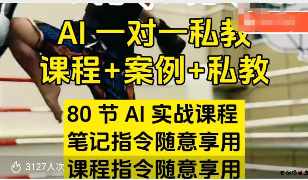 AI指令实战课，课程+案例，80节AI实战课程，笔记指令随意享用，课程指令随意享用(更新7月)-云创项目库
