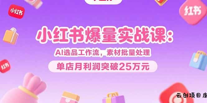 小红书爆量实战课：AI选品工作流，素材批量处理，单店月利润突破25万元-云创项目库