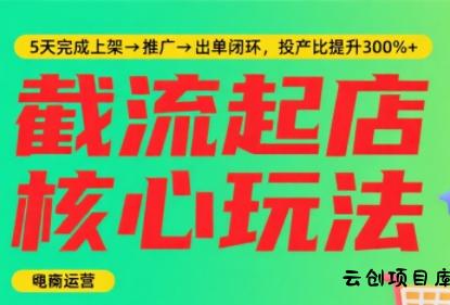 淘宝截流快速起店玩法，掌握暴力快速起店的流程-云创项目库