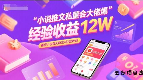 小说推文私董会大佬爆单经验分享收益12W，番茄小说每天稳定4位数收益-云创项目库