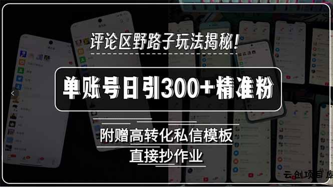 评论区野路子玩法揭秘！单账号日引300+精准粉，附赠高转化私信模板，直…-云创项目库