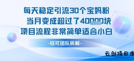 每天稳定引流30个人 当月变成超过了4个W项目流程非常简单适合小白-云创项目库