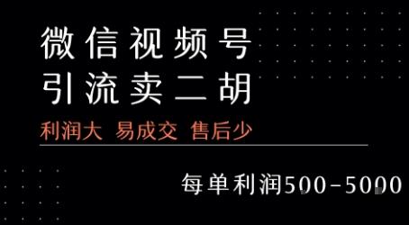 视频号卖二胡教程，利润大 易成交 售后少，一单利润5张+-云创项目库