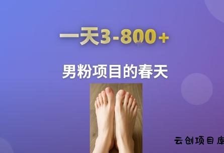 AI一键生成美女素材，一天收益3-8张，男粉项目的春天-云创项目库