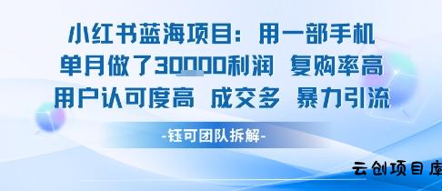小红书蓝海项目，一部手机单月做了3W利润，小白也能月入过1W用户认可度高成交多-云创项目库