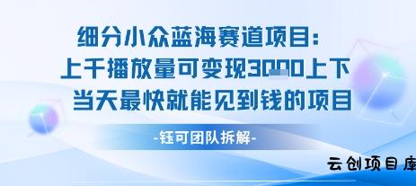 小众蓝海赛道项目：当天变现1k+适合新手操作 +适合长期玩-云创项目库