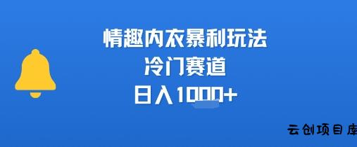 情趣内衣暴利玩法，冷门赛道，日入1k+-云创项目库