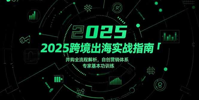 2025跨境出海实战指南，并购全流程解析，自创营销体系，专家基本功训练-云创项目库