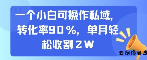 一个小白可操作私域，转化率90%，单月轻松收割2W-云创项目库