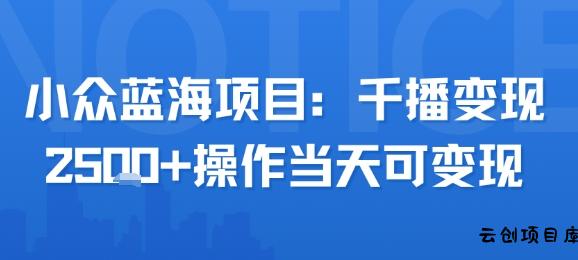 小众蓝海项目，千播变现2.5k+操作当天可变现-云创项目库