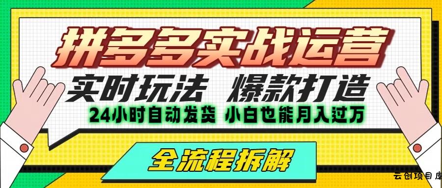 拼多多最新实战运营高投产：长久稳定项目，单店利润一天三位数-云创项目库