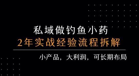 私域做钓鱼小药 每单利润3张+ 详细流程拆解-云创项目库