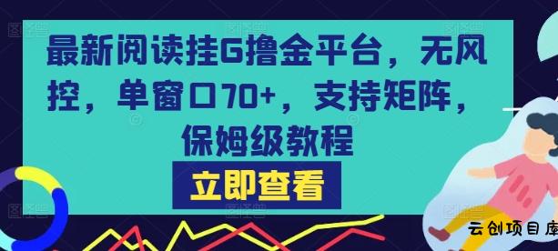 最新阅读挂G撸金平台，无风控，单窗口70+，支持矩阵，保姆级教程【揭秘】-云创项目库