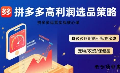 拼多多选品暴利技术实战课，拼多多高利润选品策略，拼多多限时低价标签秘诀-云创项目库