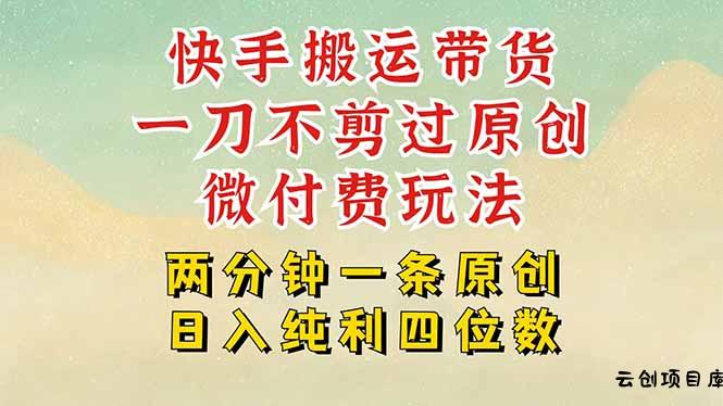 快手黑科技搬运带货，一刀不剪过原创，微付费投流玩法，轻松日入四位数…-云创项目库