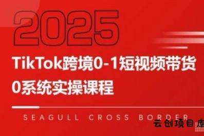 TikTok跨境0-1短视频带货，系统拆解TikTok跨境带货全链路，实现跨境可持续盈利-云创项目库
