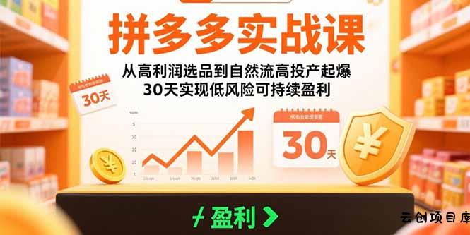 拼多多实战课：从高利润选品到自然流高投产起爆 30天实现低风险可持续盈利-云创项目库