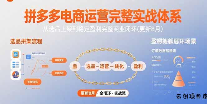 拼多多电商运营完整实战体系，从选品上架到稳定盈利完整商业闭环(更新8月-云创项目库