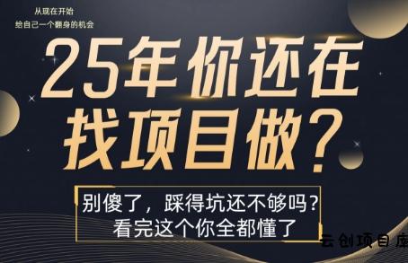 25年，你还在疯狂的找项目吗？别傻了，看完这个你都懂了【揭秘】-云创项目库