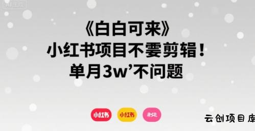小白可来 小红书项目不需要剪辑 单月3w不是问题-云创项目库