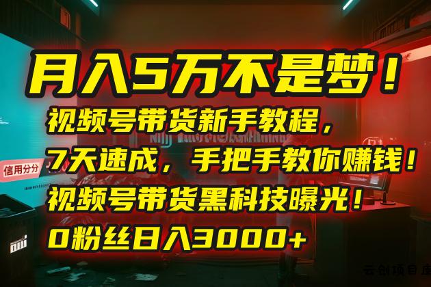 月入5万不是梦！视频号带货新手教程，7天速成，手把手教你赚钱！视频号…-云创项目库