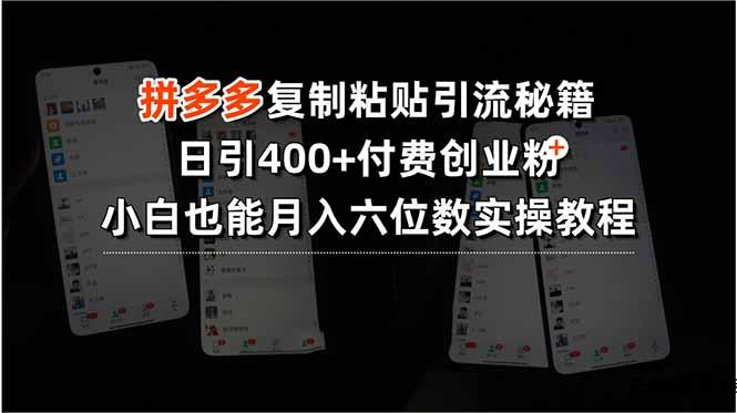 拼多多复制粘贴引流秘籍，日引400+付费创业粉，小白也能月入六位数实操…-云创项目库