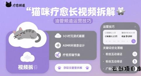 猫咪疗愈长视频拆解 &油管频道运营技巧-云创项目库