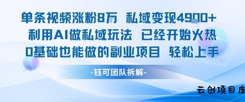 单条视频私域变现4.9k+利用AI做私域玩法 已经开始火热0基础也能做的副业项目轻松上手-云创项目库