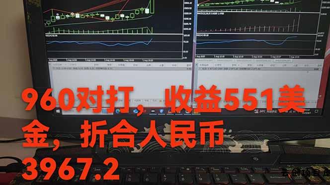 图片[1]-稳定8年的美刀搬砖项目，单人每日收益800—3000.团队4人月入10W+.可线下-云创项目库