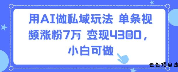 用AI做私域玩法，单条视频涨粉7W变现4.3k，小白可做-云创项目库