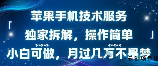 苹果手机技术服务，独家拆解，操作简单，小白可做，月过1W不是梦-云创项目库