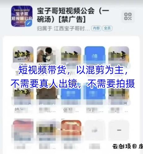 宝子哥头部团队短视频带货，以混剪为主，不需要真人出镜，不需要拍摄【更新8月】-云创项目库